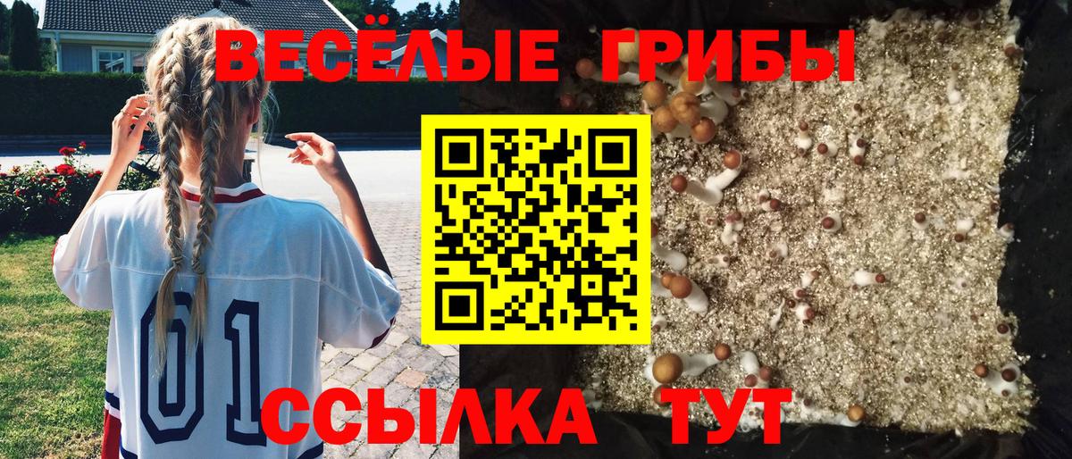 Псилоцибиновые грибы мицелий  Вход с VPN  Углич  Галлюциногенные грибы MAGIC MUSHROOMS 